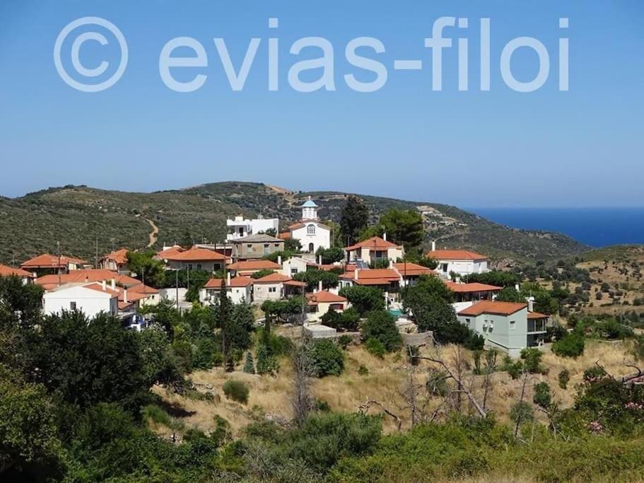 Παραθαλασσιο Σπιτι Στην Εξοχη Villa Tsakei ภายนอก รูปภาพ